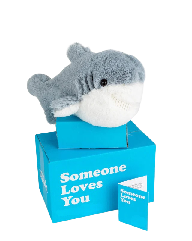 Scooter the Shark 🦈
