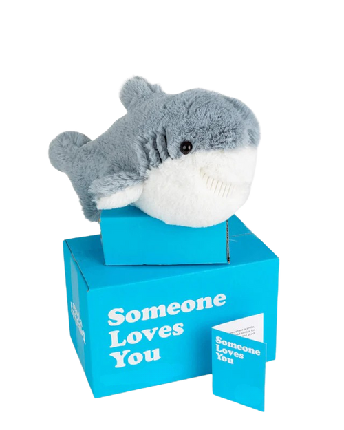 Scooter the Shark 🦈