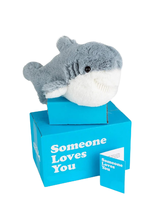 Scooter the Shark 🦈